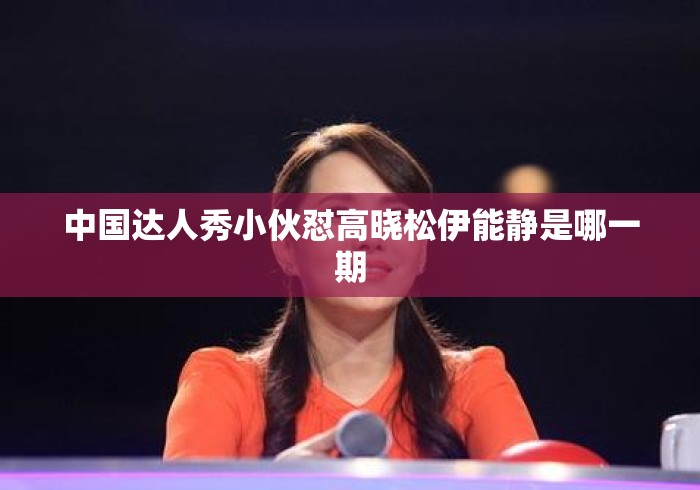 中国达人秀小伙怼高晓松伊能静是哪一期 中国达人秀小伙怼高晓松伊能静是哪一期