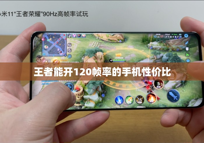 王者能开120帧率的手机性价比