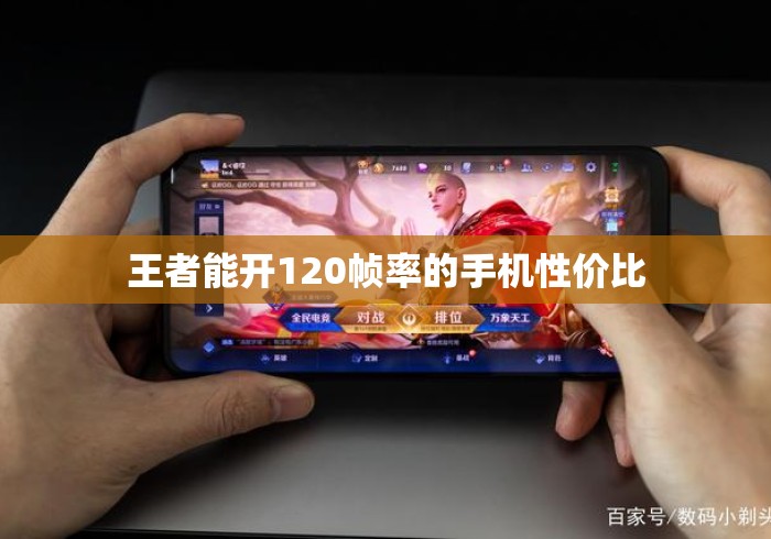 王者能开120帧率的手机性价比