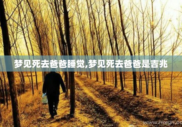 梦见死去爸爸睡觉,梦见死去爸爸是吉兆 梦见死去爸爸睡觉,梦见死去爸爸是吉兆