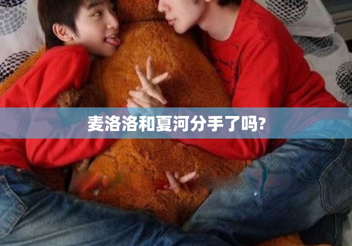 麦洛洛和夏河分手了吗?