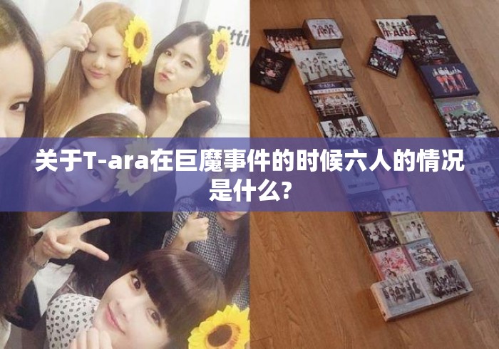 关于T-ara在巨魔事件的时候六人的情况是什么?