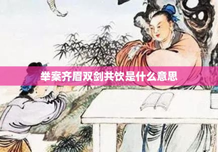举案齐眉双剑共饮是什么意思