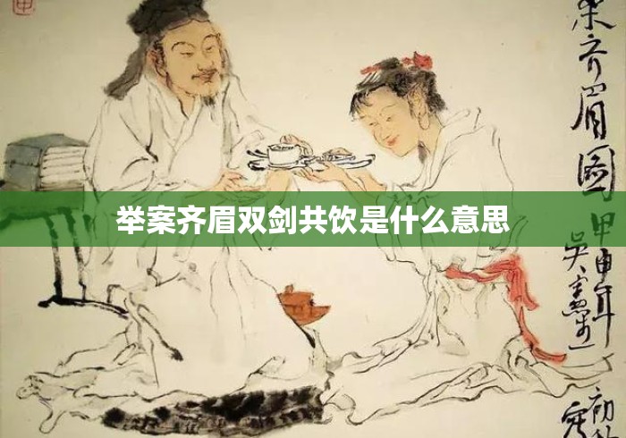 举案齐眉双剑共饮是什么意思