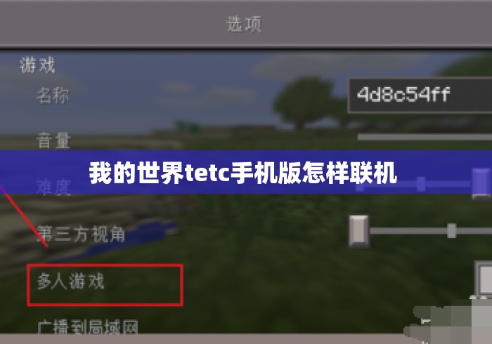 我的世界tetc手机版怎样联机 