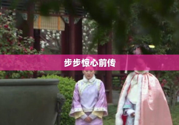 步步惊心前传 步步惊心前传