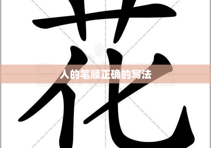 人的笔顺正确的写法 人的笔顺正确的写法