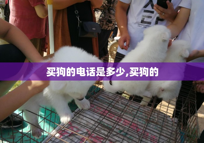 买狗的电话是多少,买狗的