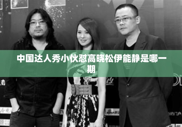 中国达人秀小伙怼高晓松伊能静是哪一期