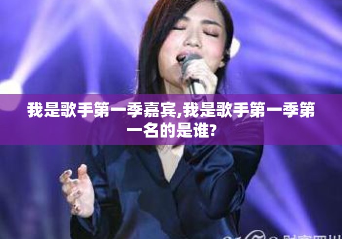 我是歌手第一季嘉宾,我是歌手第一季第一名的是谁?