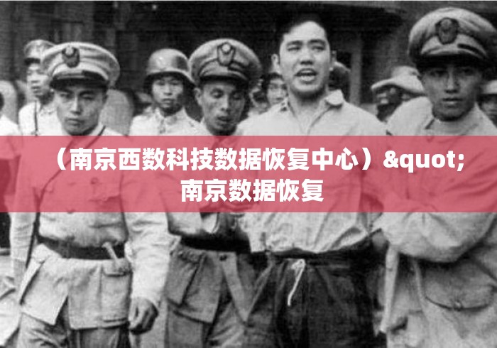 （南京西数科技数据恢复中心）" 南京数据恢复