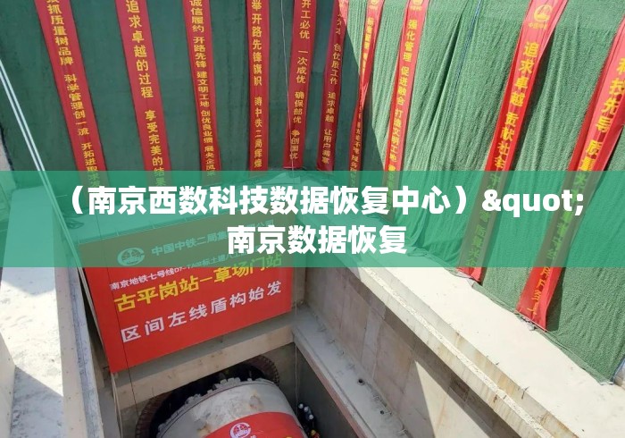 （南京西数科技数据恢复中心）" 南京数据恢复
