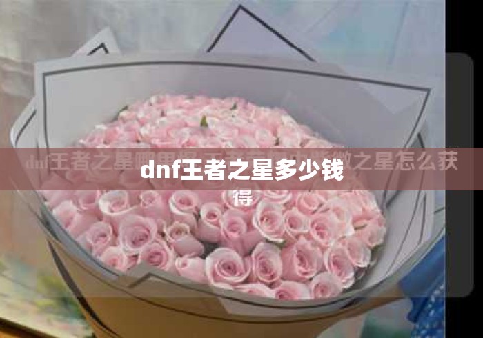 dnf王者之星多少钱 dnf王者之星多少钱