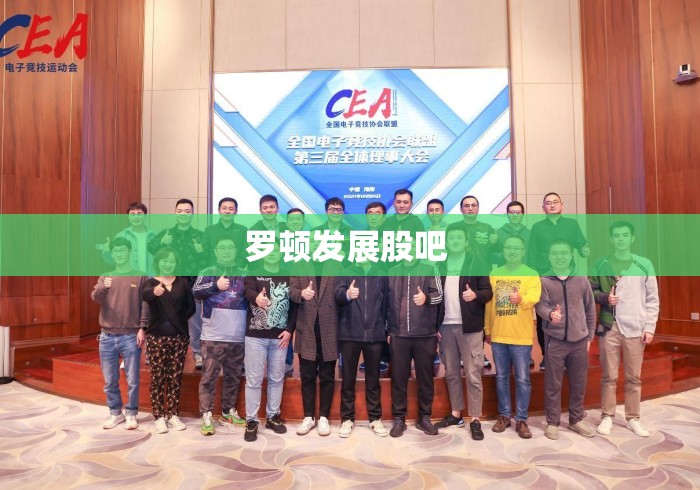 罗顿发展股吧 罗顿发展股吧