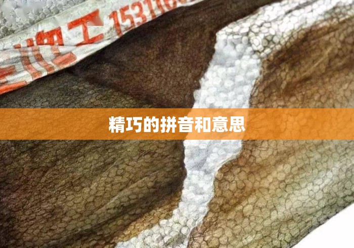 精巧的拼音和意思