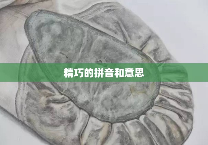 精巧的拼音和意思