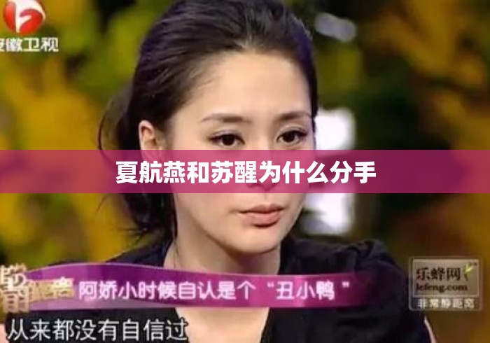 夏航燕和苏醒为什么分手 夏航燕和苏醒为什么分手