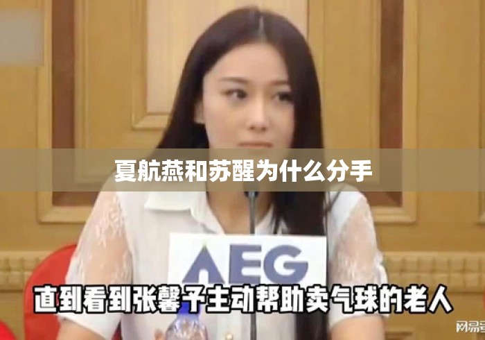 夏航燕和苏醒为什么分手 夏航燕和苏醒为什么分手
