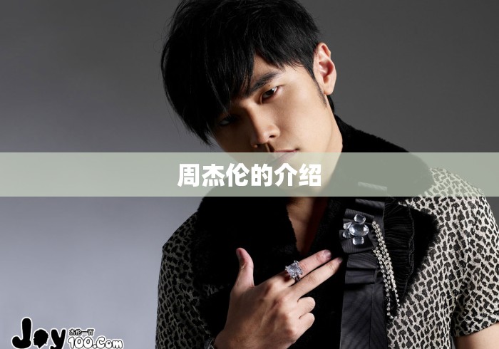 周杰伦的介绍 周杰伦的介绍