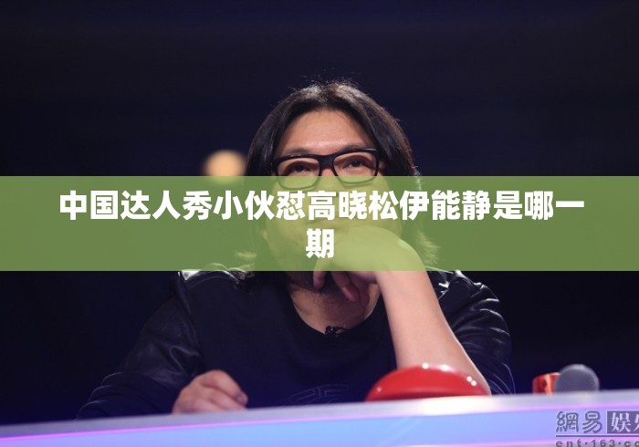 中国达人秀小伙怼高晓松伊能静是哪一期 中国达人秀小伙怼高晓松伊能静是哪一期