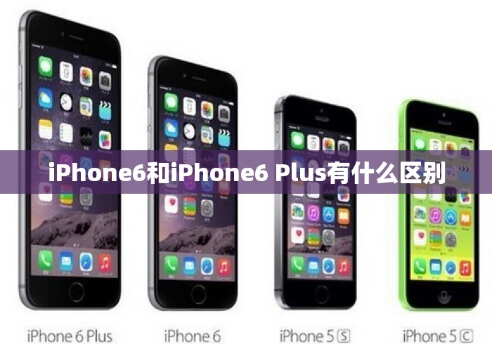 iPhone6和iPhone6 Plus有什么区别