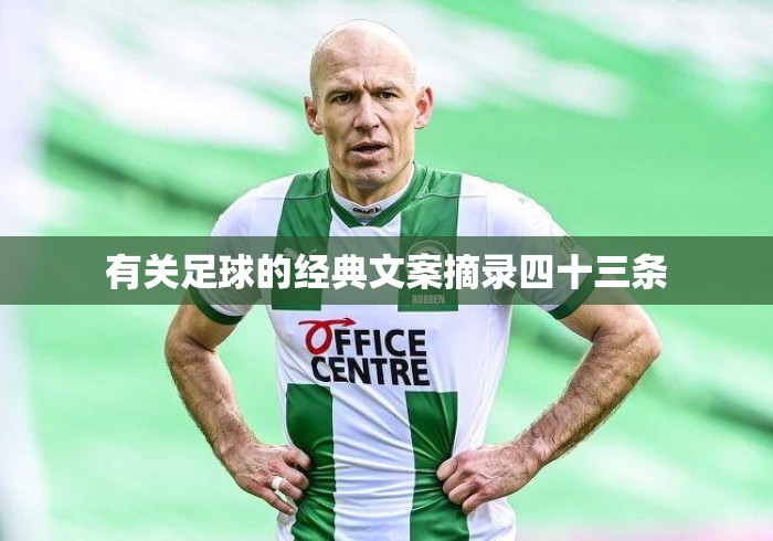 有关足球的经典文案摘录四十三条 有关足球的经典文案摘录四十三条