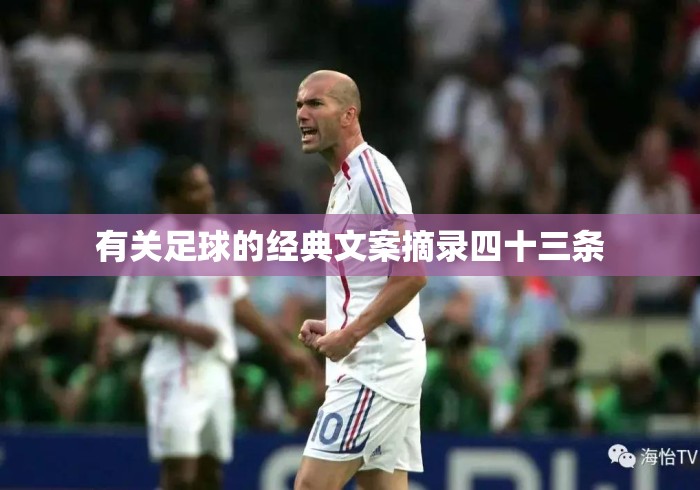 有关足球的经典文案摘录四十三条 有关足球的经典文案摘录四十三条