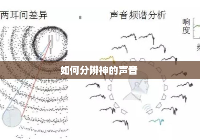 如何分辨神的声音 如何分辨神的声音