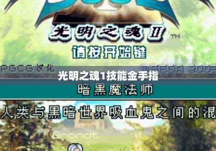 光明之魂1技能金手指 光明之魂1技能金手指
