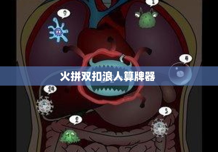 火拼双扣浪人算牌器 火拼双扣浪人算牌器