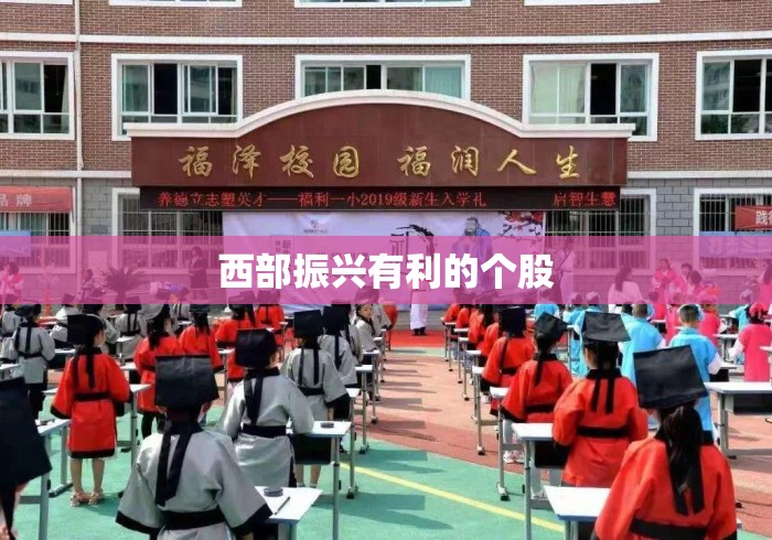 西部振兴有利的个股 西部振兴有利的个股