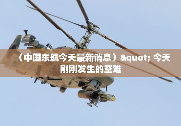 （中国东航今天最新消息）" 今天刚刚发生的空难