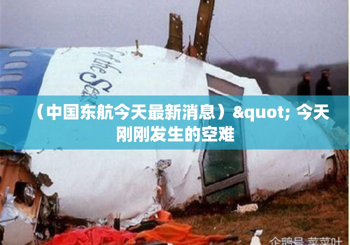 （中国东航今天最新消息）" 今天刚刚发生的空难