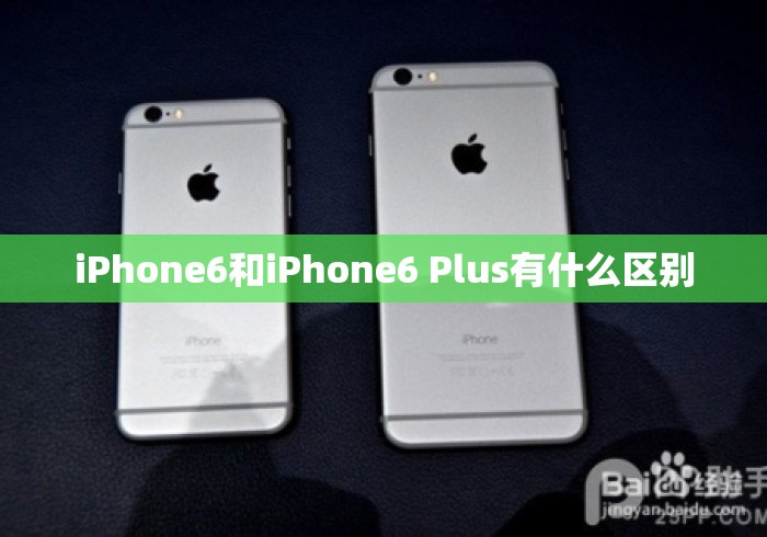iPhone6和iPhone6 Plus有什么区别 iPhone6和iPhone6 Plus有什么区别