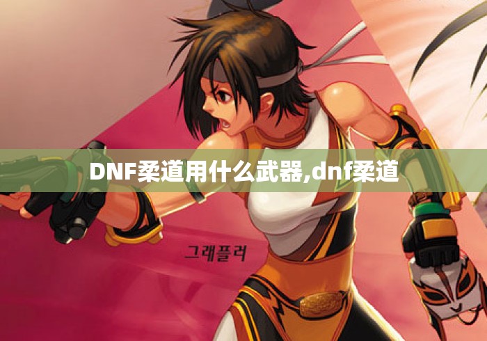 DNF柔道用什么武器,dnf柔道