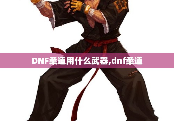DNF柔道用什么武器,dnf柔道