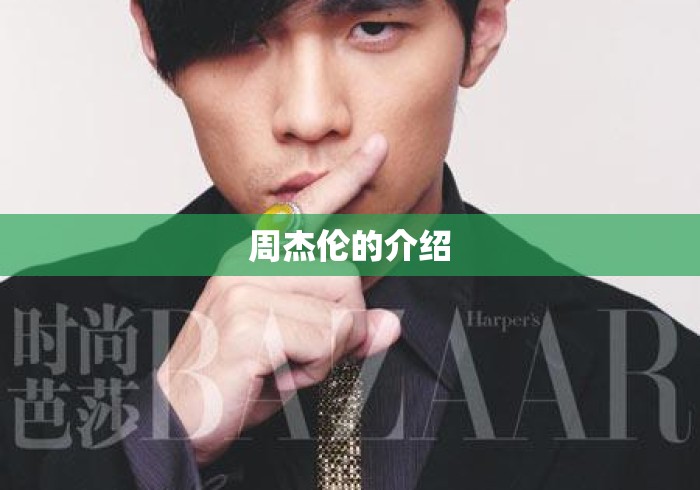 周杰伦的介绍 周杰伦的介绍