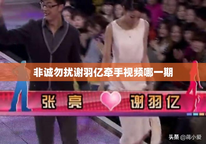 非诚勿扰谢羽亿牵手视频哪一期