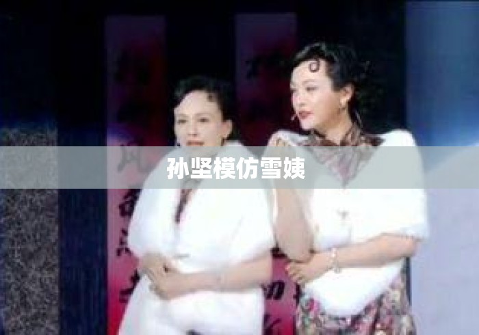 孙坚模仿雪姨 