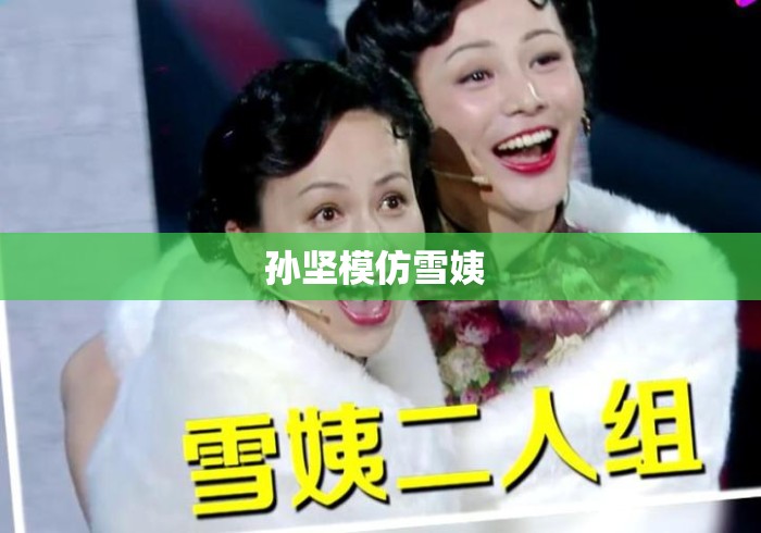 孙坚模仿雪姨 孙坚模仿雪姨