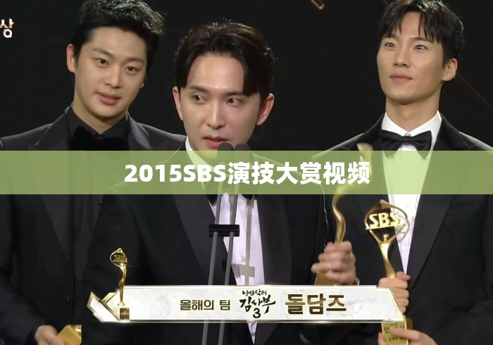 2015SBS演技大赏视频