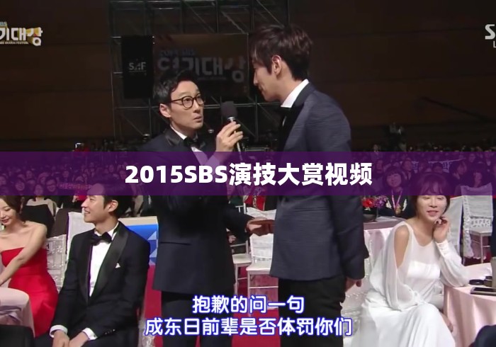 2015SBS演技大赏视频