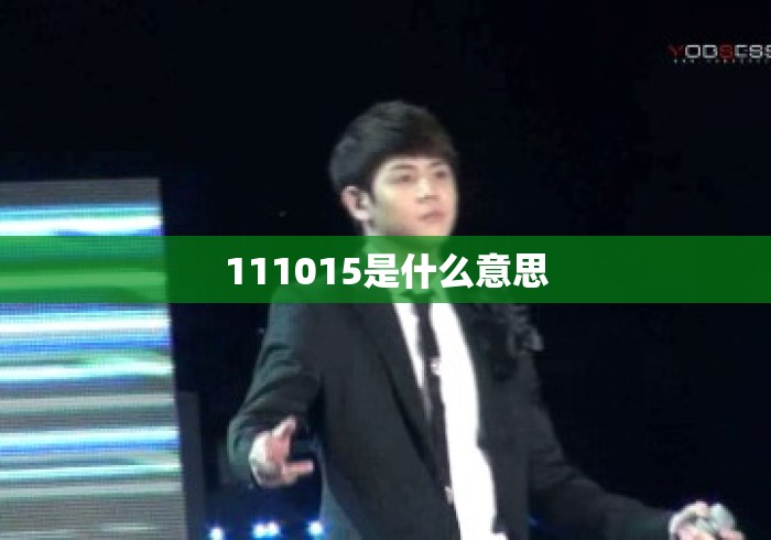 111015是什么意思