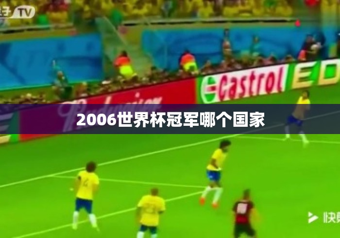2006世界杯冠军哪个国家 2006世界杯冠军哪个国家