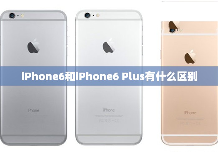 iPhone6和iPhone6 Plus有什么区别 iPhone6和iPhone6 Plus有什么区别