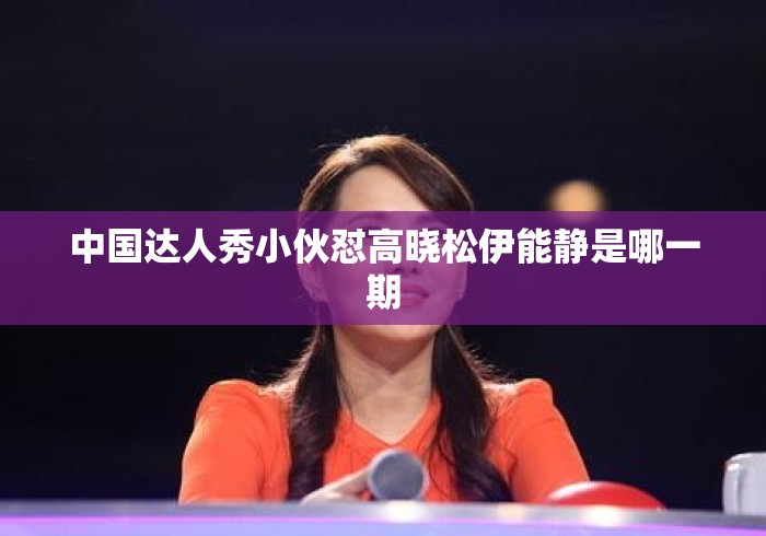 中国达人秀小伙怼高晓松伊能静是哪一期 中国达人秀小伙怼高晓松伊能静是哪一期