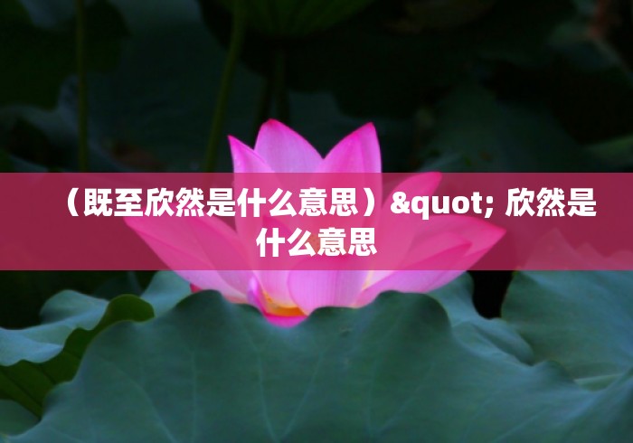 （既至欣然是什么意思）" 欣然是什么意思