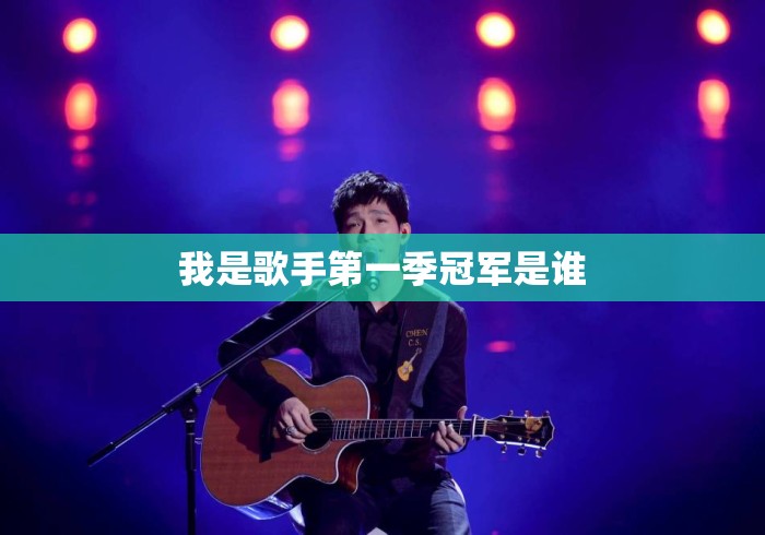 我是歌手第一季冠军是谁