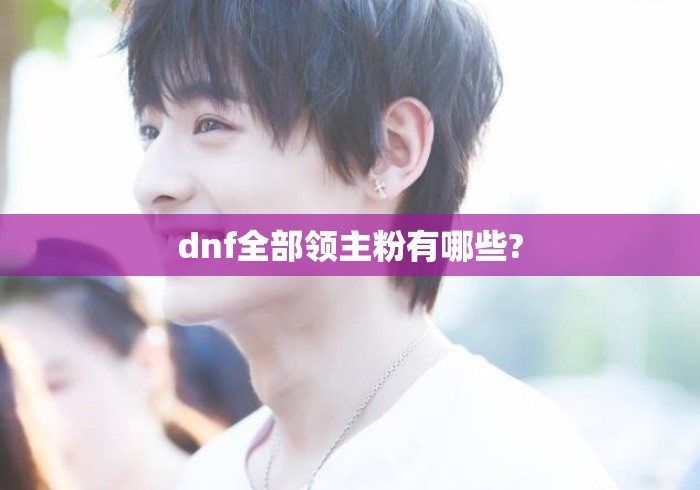 dnf全部领主粉有哪些? dnf全部领主粉有哪些?