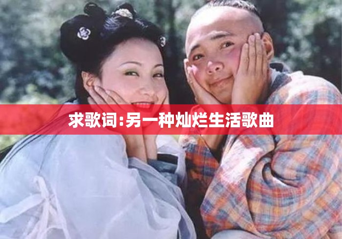 求歌词:另一种灿烂生活歌曲，另一种灿烂生活主题曲歌词